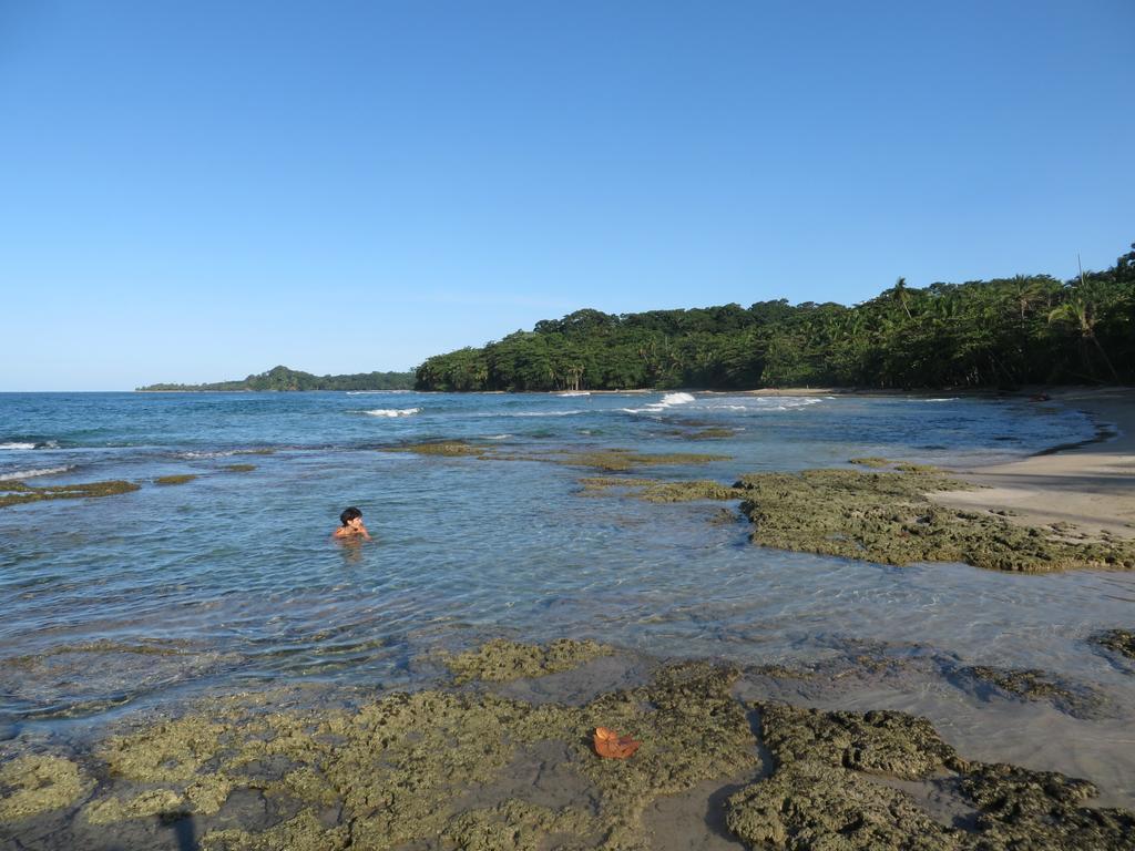 La Kukula Lodge Puerto Viejo de Talamanca المظهر الخارجي الصورة