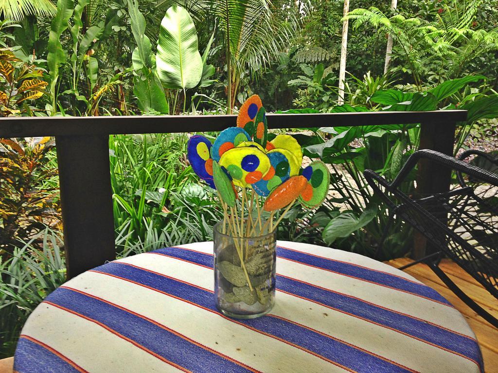 La Kukula Lodge Puerto Viejo de Talamanca المظهر الخارجي الصورة