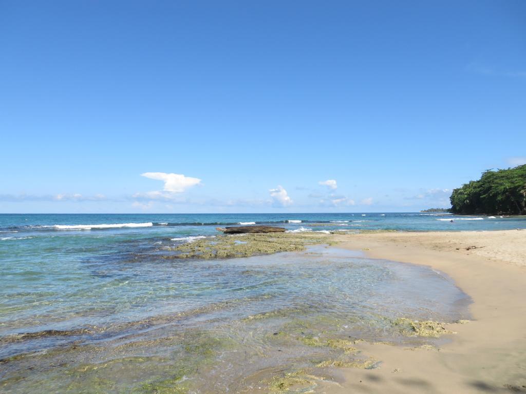 La Kukula Lodge Puerto Viejo de Talamanca المظهر الخارجي الصورة