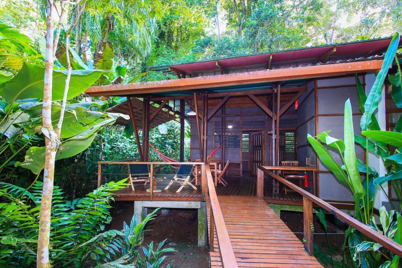 La Kukula Lodge Puerto Viejo de Talamanca المظهر الخارجي الصورة