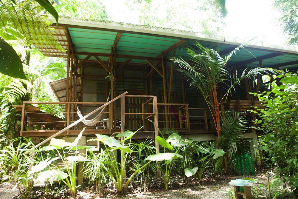 La Kukula Lodge Puerto Viejo de Talamanca المظهر الخارجي الصورة