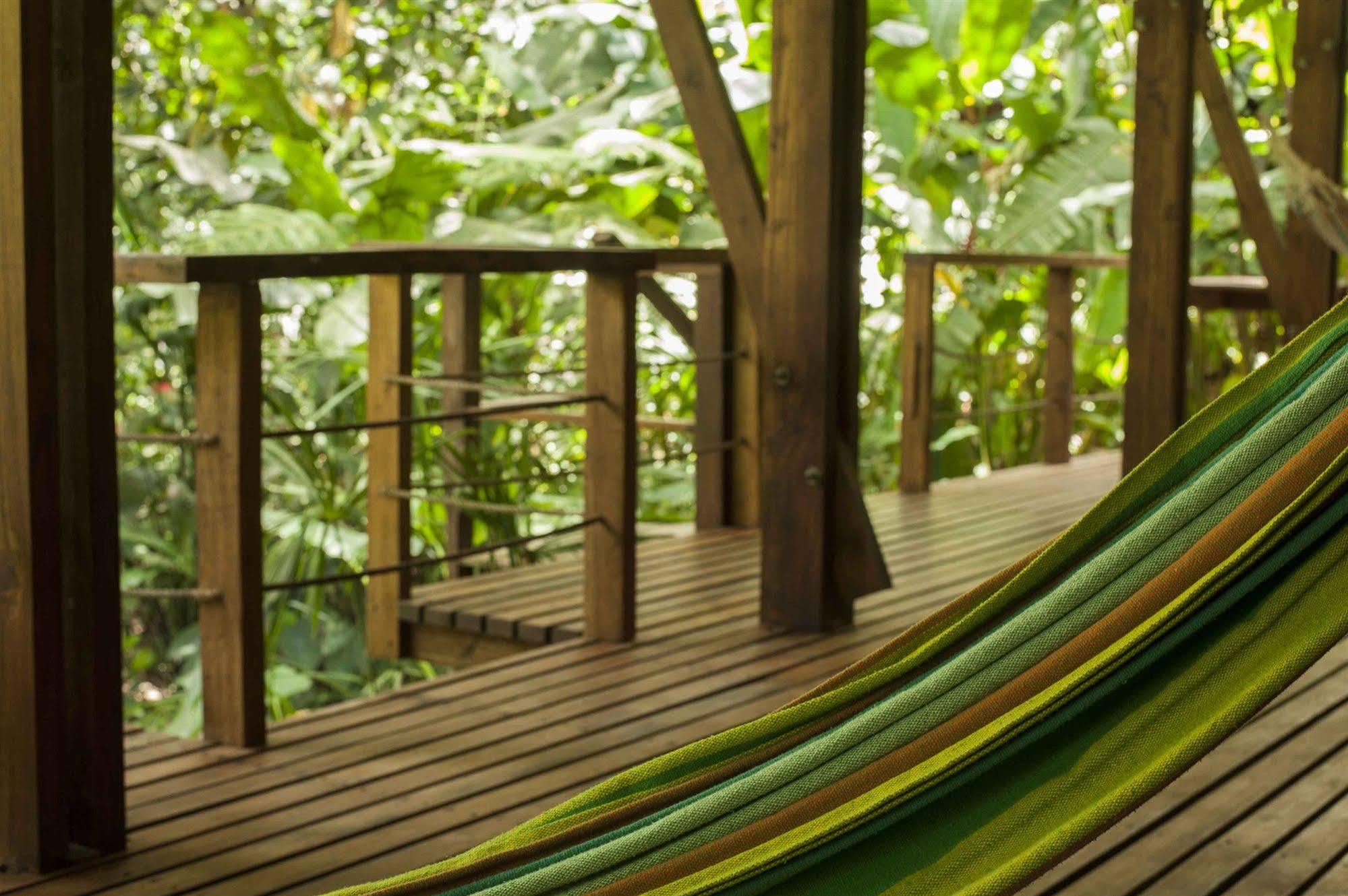 La Kukula Lodge Puerto Viejo de Talamanca المظهر الخارجي الصورة