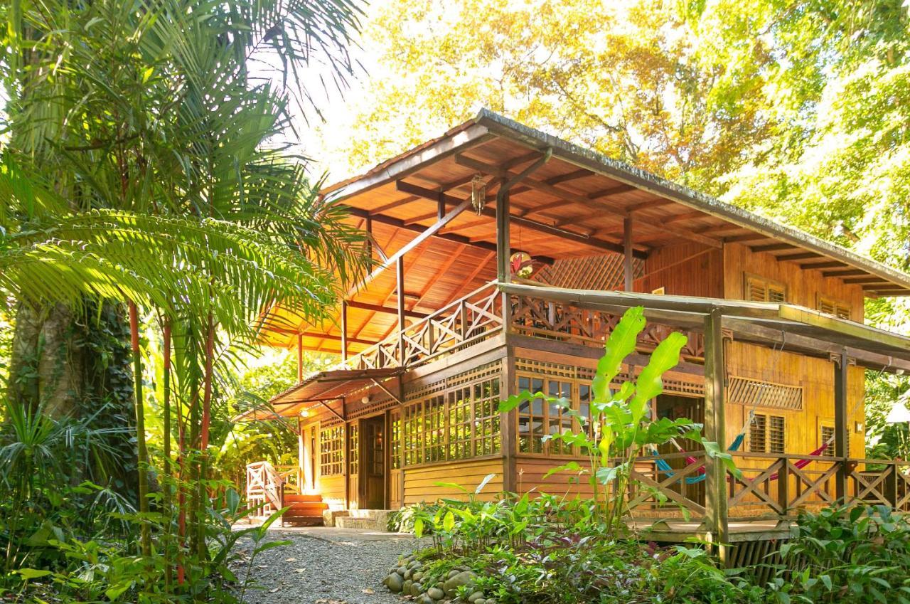 La Kukula Lodge Puerto Viejo de Talamanca المظهر الخارجي الصورة